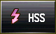 HSS